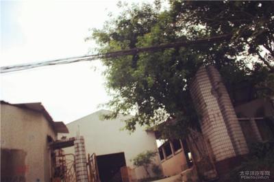 淴淴水自駕游,夏天熱啦,去涼快一下